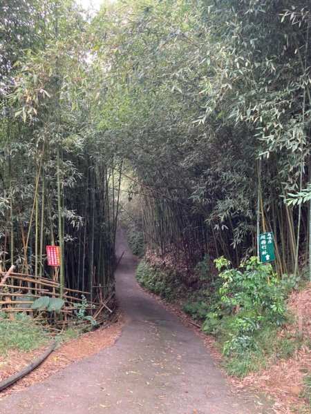 20201024-25國內旅遊_201231..