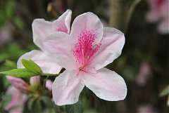 31473_578468738845051_2678..