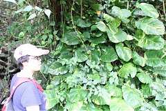 101年8月11~12日永續台東密..