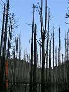 2013-03-17 水漾 094 (小型)