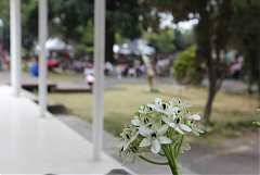 487935_578484872176771_195..