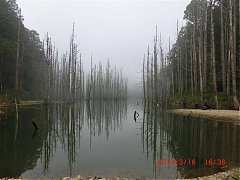 2013-03-16 水漾 161 (小型)