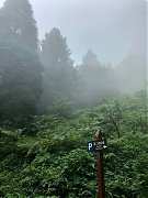 5316162精彩北大武 三天剛剛..