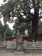 560079_645808442120103_183..