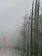 426569_10151355192324087_6..