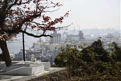 1080217新春聯誼2_190308_0034