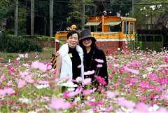 543861_578471412178117_193..