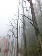 2013-03-16 水漾 149 (小型)