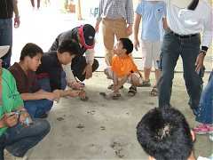 親子闖關活動-土爆