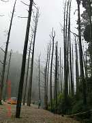 253697_10151355191354087_1..