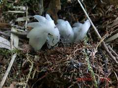 45261_10151355209794087_20..