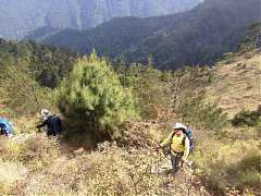 559365_413852721982344_100..