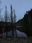 71975_10151355197939087_33..