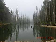 484155_10151355191739087_2..