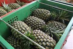 1010529永續協會-工廠參觀之..