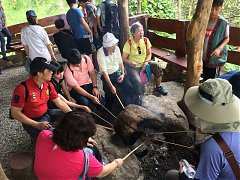 c51488d741c020313892883de9..