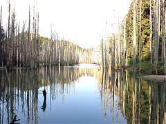 06327_554861571214791_4628..