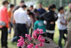 382201_578484025510189_138..