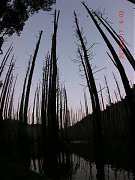 5359_10151355198594087_962..