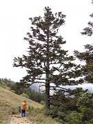 485844_413851741982442_100..