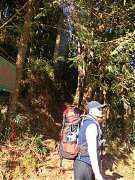 2013-03-16 水漾 020 (登山..