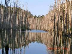 2013-03-17 水漾 120 (小型)