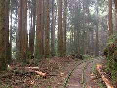 528862_448968488470767_191..