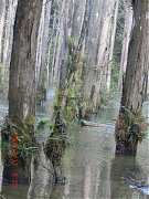 2013-03-17 水漾 080 (小型)