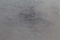 101年8月11~12日永續台東密..