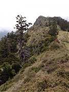 481364_413860198648263_100..