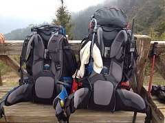 303351_413852731982343_100..