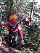 392862_10151355184444087_1..