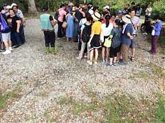 c51488d741c020313892883de9..