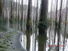 300727_10151355199649087_3..