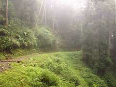 599373_448969711803978_110..