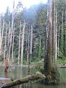 2013-03-17 水漾 083 (小型)