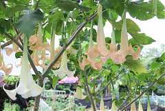 101年8月11~12日永續台東密..