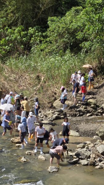 529852581_2479542007337613..