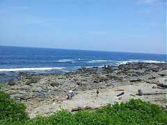 431383_424693744249645_108..