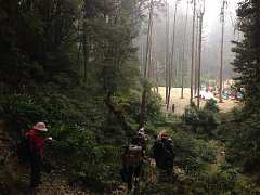 734107_554861071214841_167..