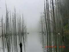 164406_10151355193164087_2..