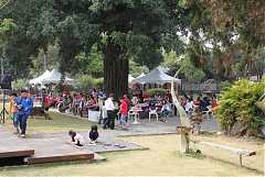 197356_578484595510132_702..