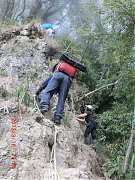 230003_10151355190169087_2..