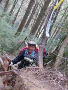 157038_10151355187109087_1..