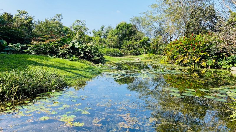 LINE_ALBUM_114112月例會-永..