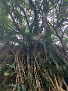 20190816讓愛旅行～台東2日..