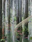 291711_10151355201804087_1..