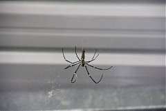 101年8月11~12日永續台東密..