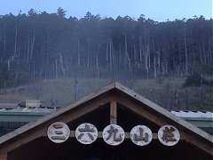 179544_413851951982421_100..