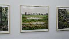 190713-永續-藝覽-高美館-太..